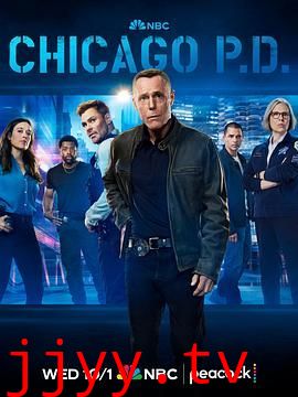 芝加哥警署 第十三季