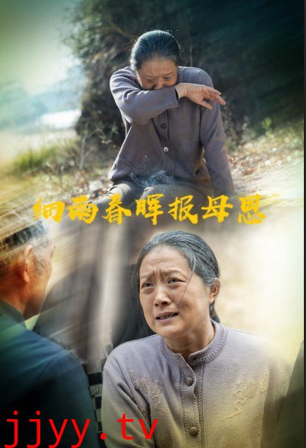 细雨春晖报母恩