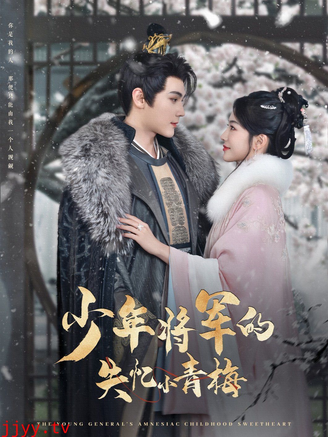 少年将军的失忆小青梅