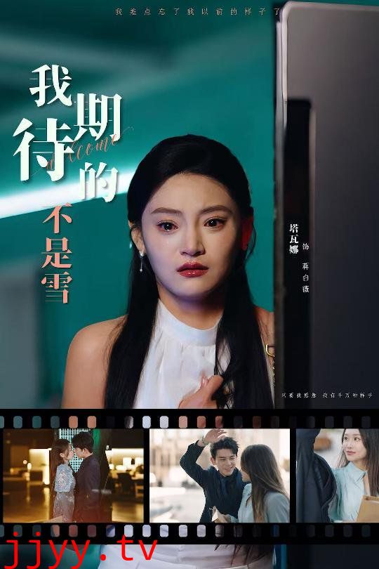 我期待的不是雪