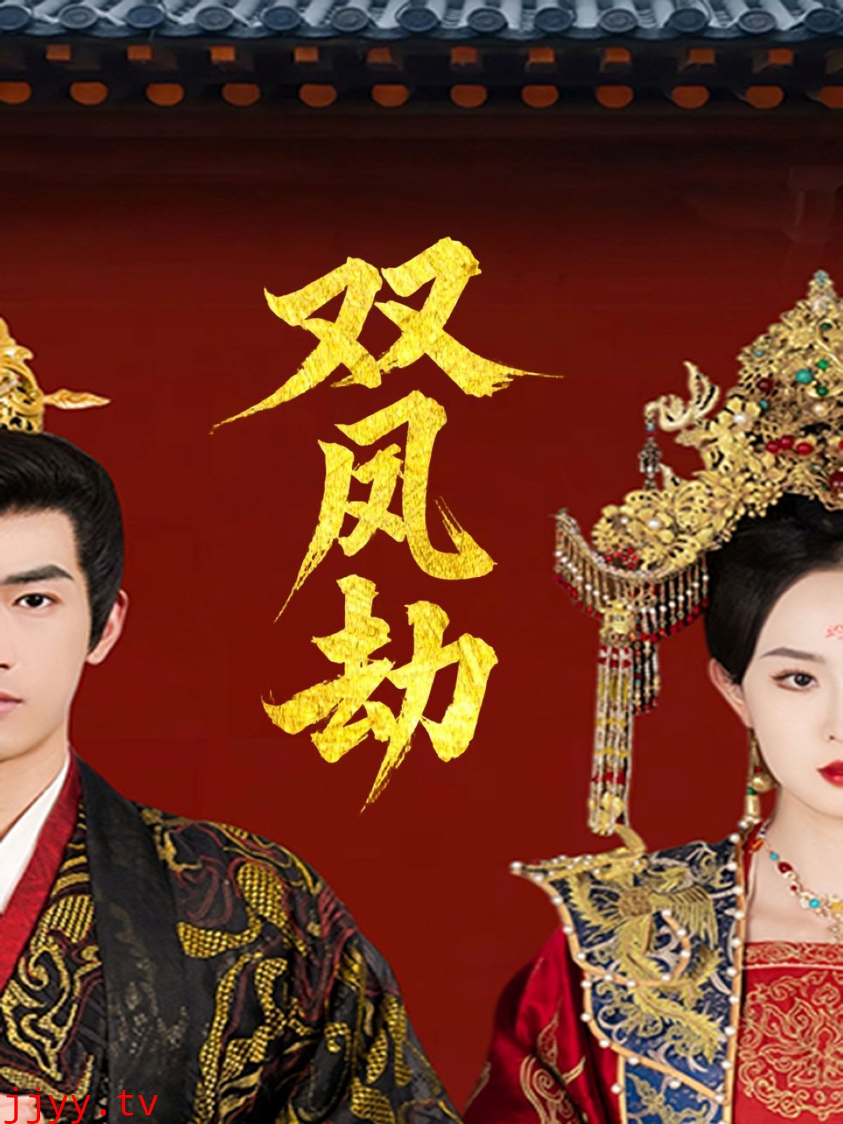 双凤劫（将军骨美人谋）