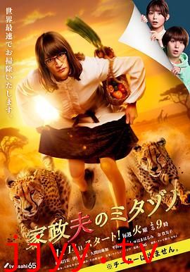 家政夫三田园 第7季