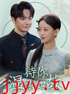 待你温柔如故