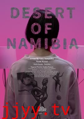 纳米比亚的沙漠