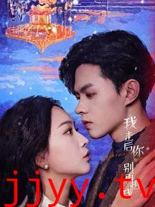 我走后你别再想我