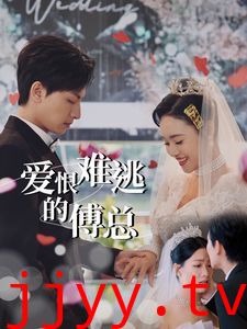 爱恨难逃的傅总