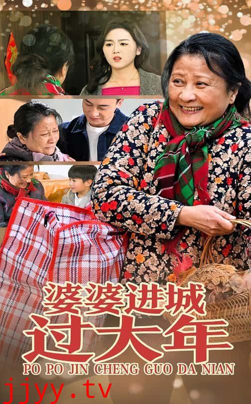 婆婆进城过大年