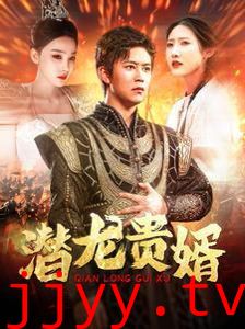 潜龙贵婿