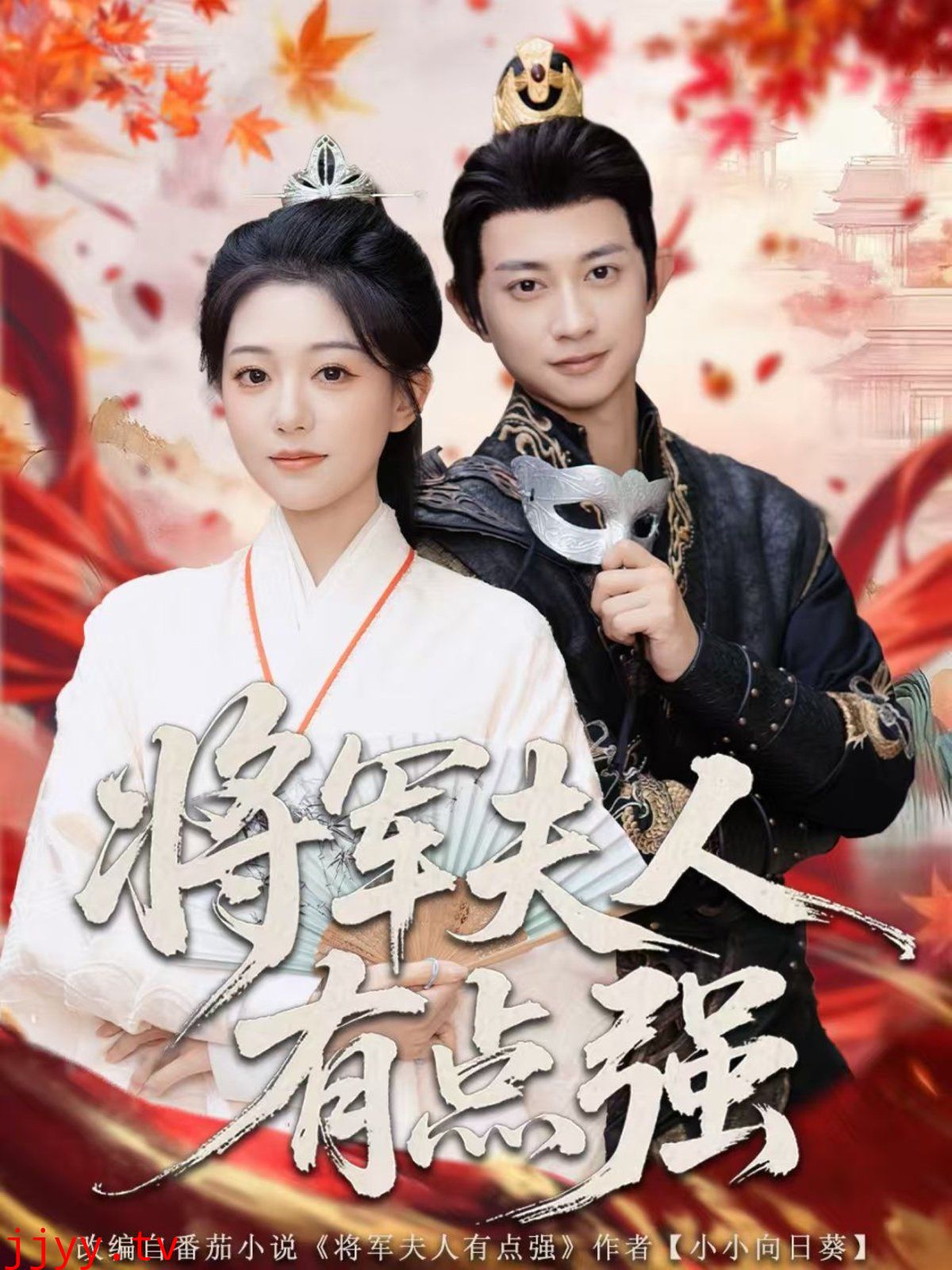 将军夫人有点强