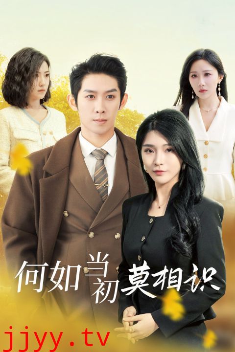 何如当初莫相识