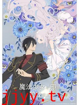 魔法少女与恶曾是敌人