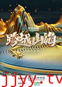 跨越山海2024音乐会