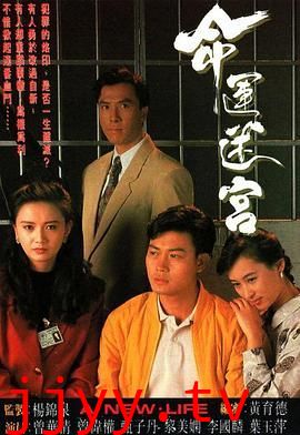 命运迷宫普通话版