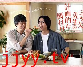 三矢老师的计划式投喂