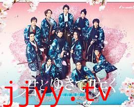 与你一起绽放 新选组青春录