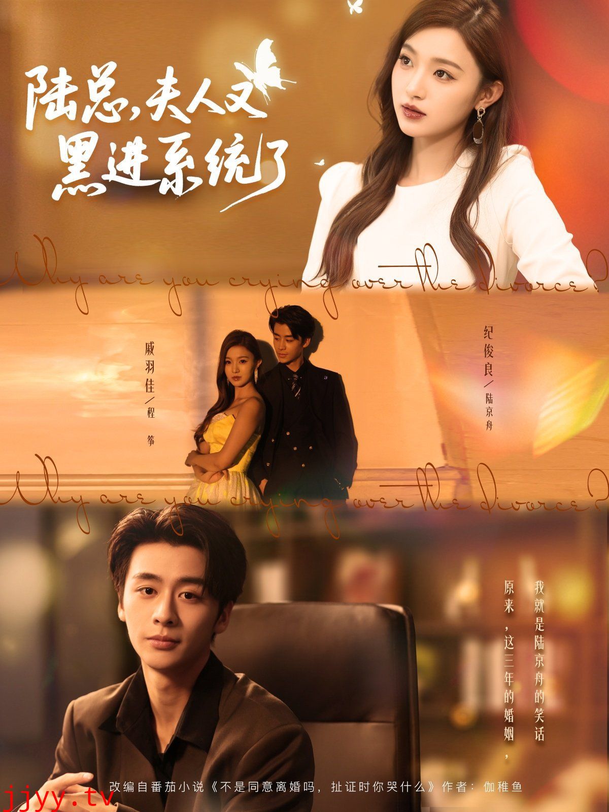 陆总夫人又黑进系统了