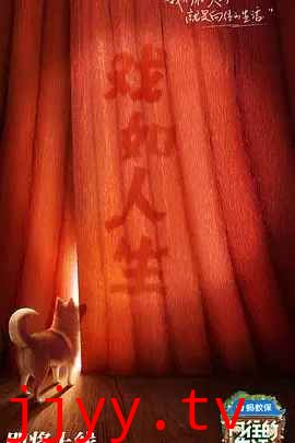 向往的生活 第八季