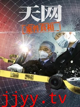 天网：案件真相