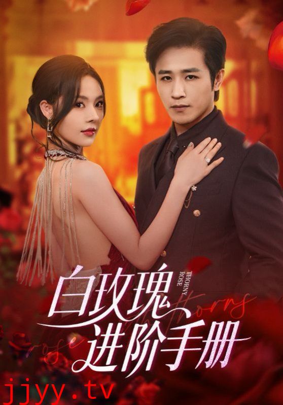 白玫瑰进阶手册