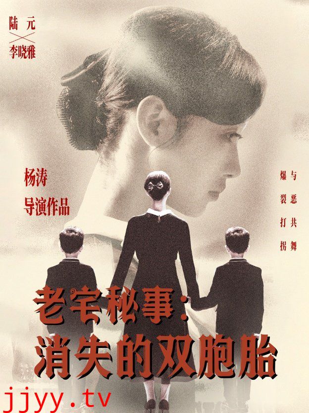 老宅秘事消失的双胞胎（消失的孩子）