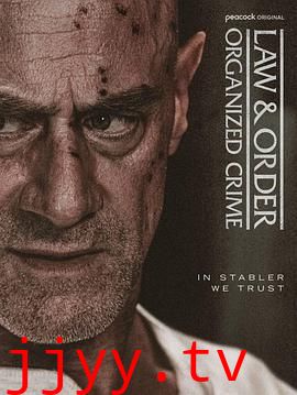 法律与秩序:组织犯罪 第五季