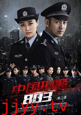 中国刑警803英雄本色