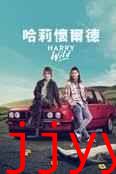 野探哈莉 第四季