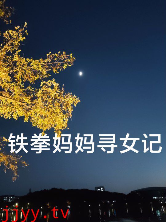 铁拳妈妈寻女记