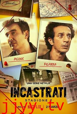 冤枉啊！西西里谋杀疑案 第二季