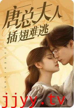 唐总夫人插翅难逃