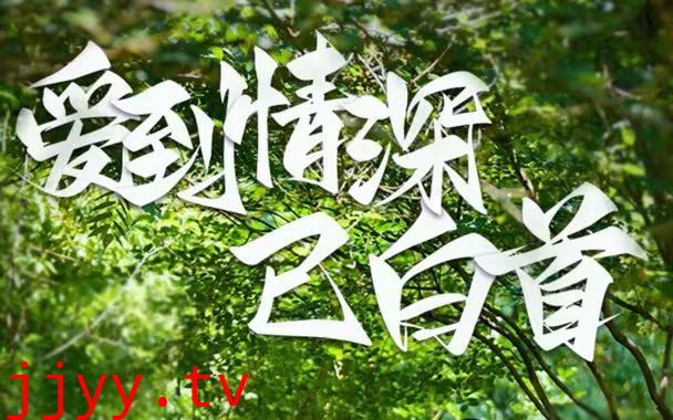 爱到情深已白首