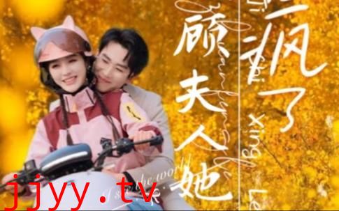 顾总夫人她赚疯了