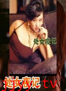 处女夜记