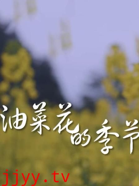 油菜花开的季节
