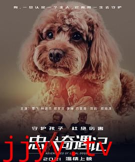 忠犬奇遇记