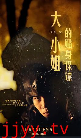 大小姐的贴身保镖（天命打工人）