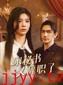 宋秘书又辞职了