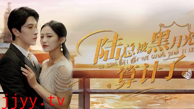 陆总被黑月光算计了