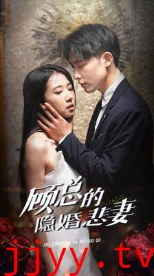 顾总的隐婚悲妻