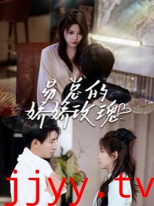 易总的娇娇玫瑰