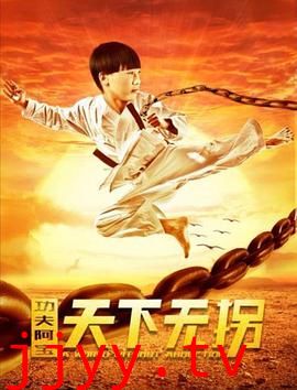 功夫阿宝:天下无拐