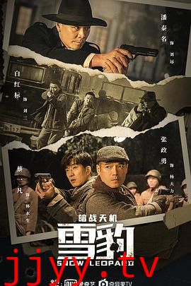 雪豹之暗战天机