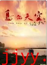 鸟的天空