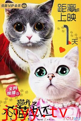 猫片之无喵生还