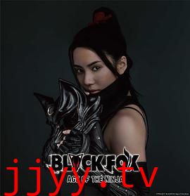 黑狐：忍者时代