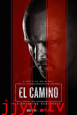 续命之徒:绝命毒师