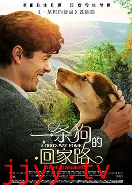 一条狗的回家路（原声版）