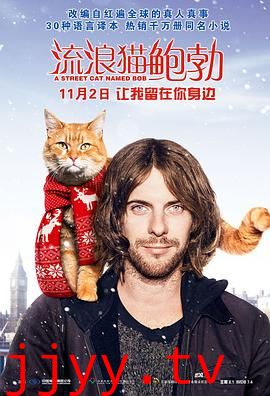 流浪猫鲍勃(国语版)