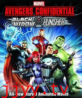 机密复仇者:黑寡妇与惩罚者