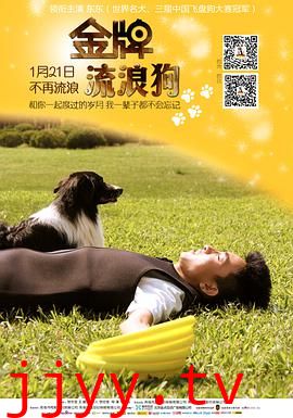 金牌流浪狗